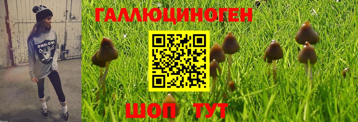 Сегежа  Псилоцибиновые грибы MAGIC MUSHROOMS  Вход с VPN  Псилоцибиновые грибы GOLDEN TEACHER 